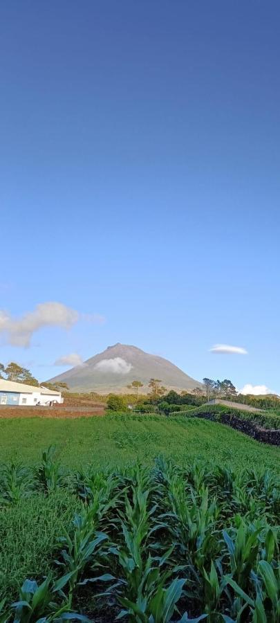 Dream View In Pico Villa Criacao Velha Luaran gambar